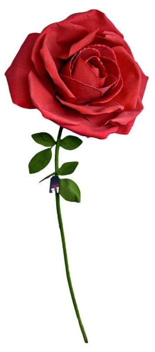 XXL огромна роза - Рози за подарък за жена