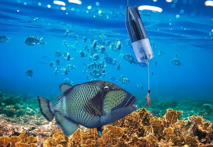 камера за подводна риба