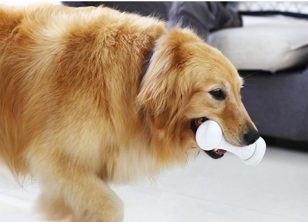 умна костна играчка за кучета нечестива кост